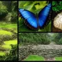 rural-tourism-experience-in-costa-rica-explornatura