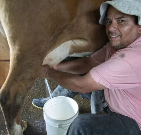 rural-tourism-experience-in-costa-rica-explornatura