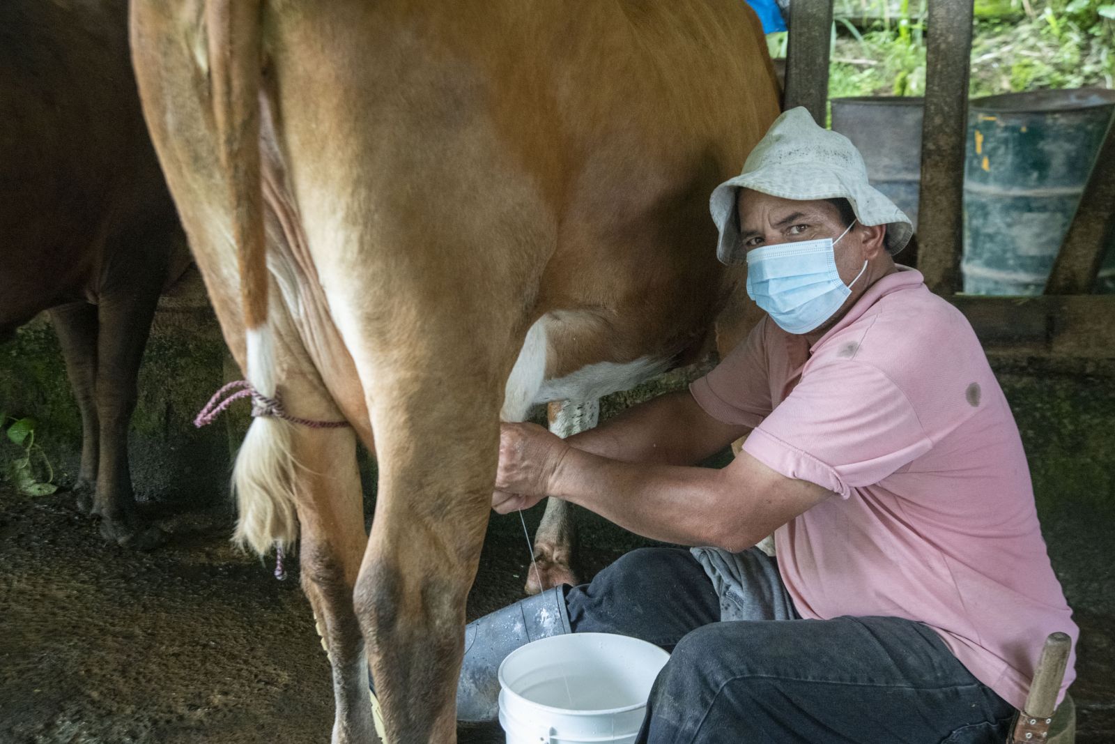 Rural Tourism Experience in Costa Rica - Explornatura