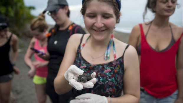 learn-spanish-and-rescue-turtles-in-turrialba-costa-rica-explornatura